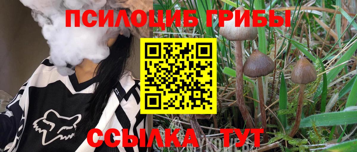 Галлюциногенные грибы Magic Shrooms Керчь