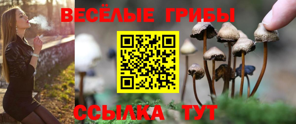 Керчь  Галлюциногенные грибы Magic Shrooms  Вход с VPN 